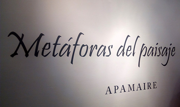 mariamercedes_alvarado