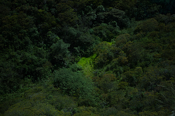 dosencontexto_1