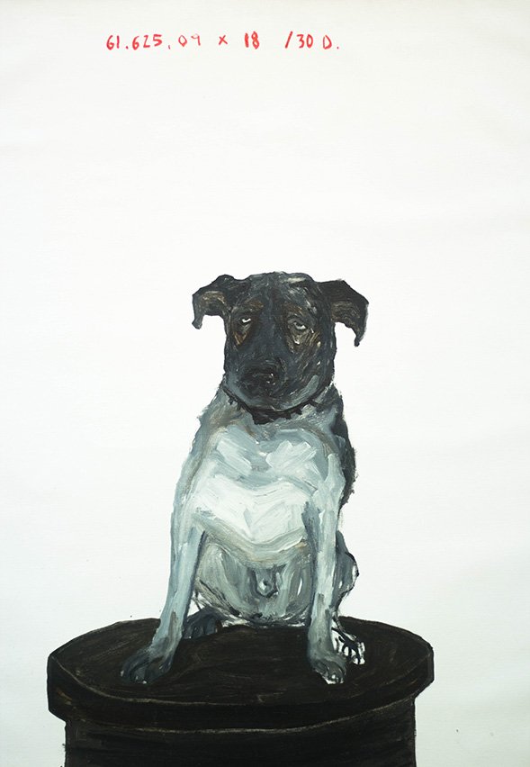 individuales_perro